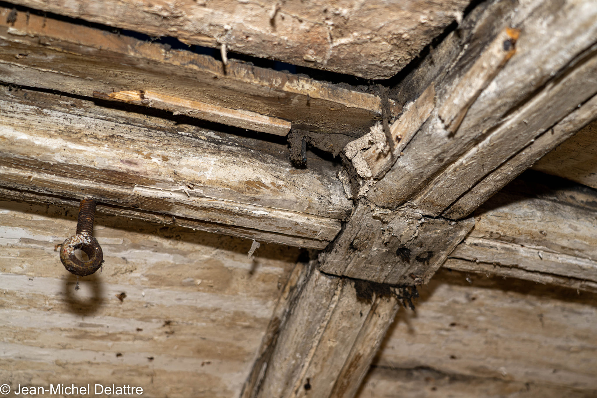 janvier2022 - Oisquercq_23012022_ 6