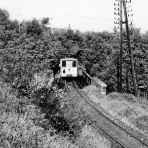 Virginal - Tram_virginal_006